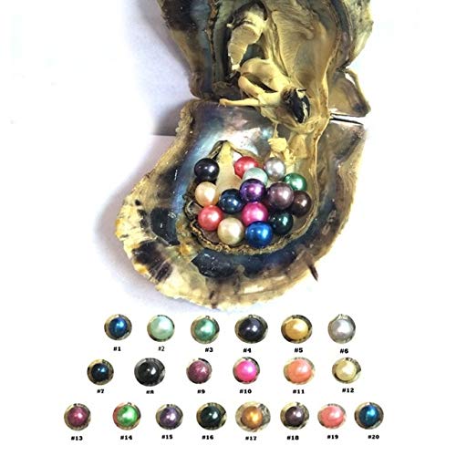 Calvas Akoya Pearl Oyster 2018 Round 5-7mm Colors seawater Natural Cultured in Fresh Oyster Pearl Mussel Farm Supply Wholesale - (Color: You Choose Color)