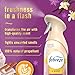 Febreze Air Mist Air Freshener Spray, Odor-Fighting Room Spray, Air Fresheners for Home and Bathroom and Kitchen, Aerosol Can, Cuddle Weather Scent, 8.8oz, 1 Count
