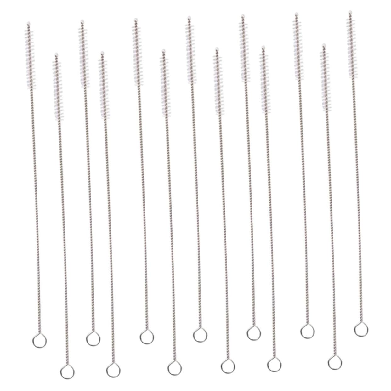 Healeved 15pcs Wire Brush Cleaning Brush for Straws Drinking Straw Brush Water Bottles Straw Test Tube Brush Bottle Cleaner Brush Tumbler Straw Cup Cleaning Brush Pipette 304?