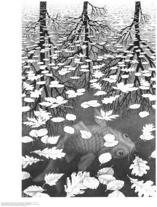 M.C. Escher Three Worlds Cool Wall Decor Art Print Poster 21.5x25.5