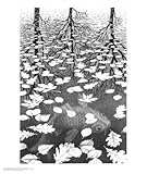 Three Worlds Art Poster Print by M. C. Escher, 22x26