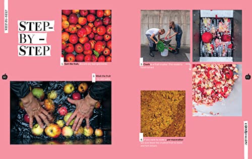 Cider Revolution!: Your DIY Guide to Cider & Pet-Nat
