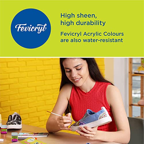 Image of Fevicryl Acrylic Colour (Black, 1litre) for Art and Craft Paint, Canvas, Wood, Leather, Earthenware, Metal