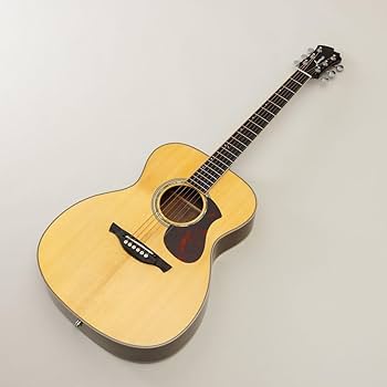 Amazon | James J-500S VNT エレアコ アジャスタブルサドル搭載