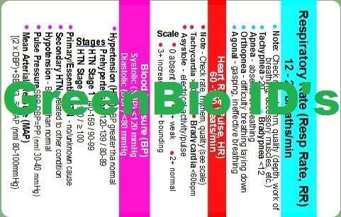 Adult Vital Signs Horizontal Badge ID Card Pocket Reference Guide