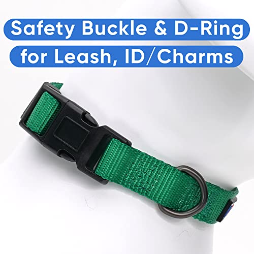 Pawtitas Dog Collar For Extra Small Dogs Training Puppy Collar With Solid - Xs - Lush Green #TOP2