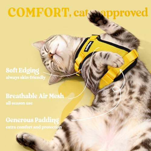 Image of rabbitgoo Cat Harness and Leash Set, Escape Proof Vest, Yellow | Soft Breathable Mesh, Easy Adjustable Fit, Snap Buckles, Sturdy Clip, Reflective Strips, for Small & Average Cats Walks, Xs