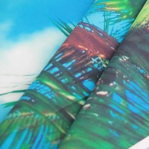 Riyidecor Summer Hawaiian Beach Photo Backdrop Fabric Polyester 7X5 Feet Ocean Tropical Palm Tree Island Luau Blue Sky Photography Background Birthday Party Photo Shoot Backdrop #TOP5