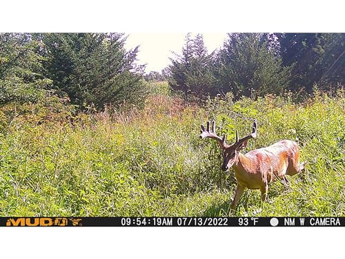 Muddy Morph Verizon Cellular Trail Camera 26 MP with 16GB SD Card and AA Batteries - Thumbnail 2