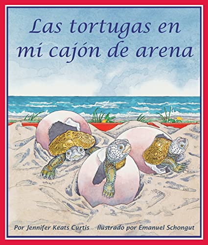 Las Tortugas En Mi Cajón de Arena (Turtles in M... [Spanish] 1628553650 Book Cover