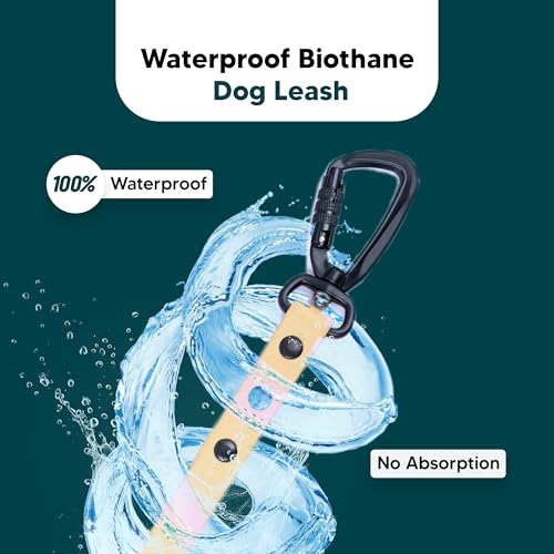 Image of Adil's Biothane Dog Leash - Waterproof Leashes for Dogs, Metal Hook, Adjustable 5ft Length Suitable for Dogs & Puppies, Ideal for Walking, Running & Training (Lemon Grey)