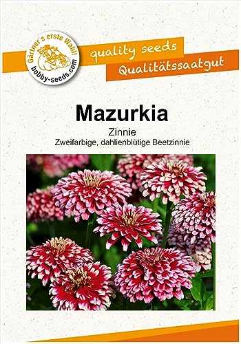 Blumensamen Mazurkia Zinnie Portion Blumensamen Mazurkia Zinnie Portion