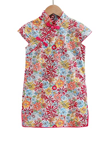 Girl's Cap Sleeve Ditsy Floral Chinese Dress3