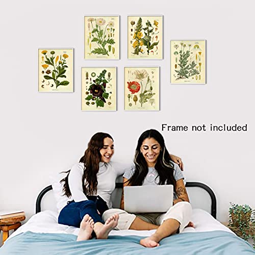 Liyaoli Botanical Wall Art Posters Nature Room Decor,Vintage Wall Art Prints Unframed 8 X 10 Inch ​Set Of 6 Floral Wall Art For Living Room Home Office Wall Decor #TOP1