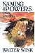 Naming the Powers: The Language of Power in the New Testament (The Powers : Volume One)
