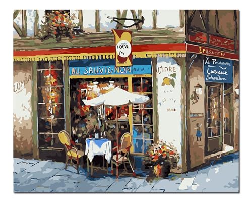 Peinture par numéros pour adultes débutants : apprenez à peindre facilement un paysage sur toile