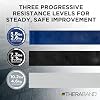 THERABAND Resistance Bands Set, Elastic Bands for Exercise & Physical Therapy, Strength Training for Upper & Lower Body Fitness