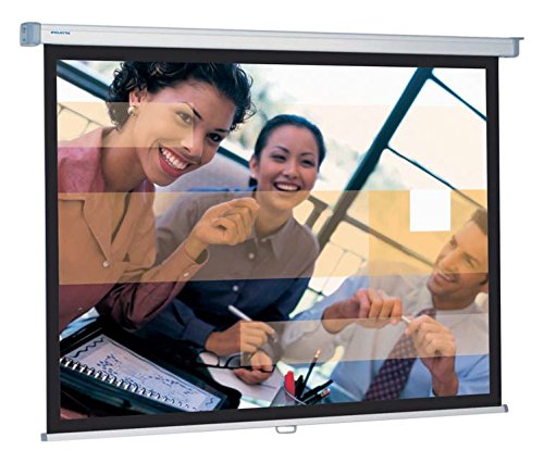 Projecta SlimScreen 153x200 Datalux S schermo per