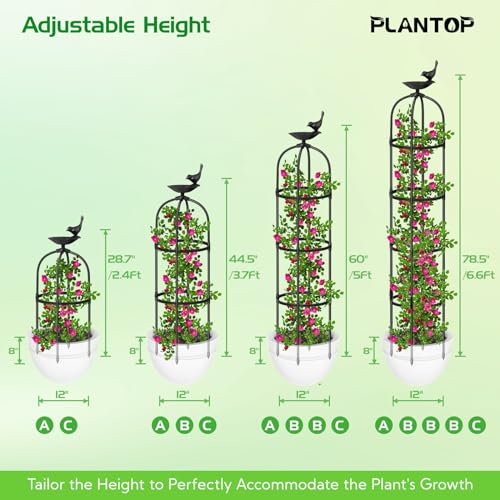 Plantop PT115 2 Pack Garden Obelisk Trellis For Climbing Plants Outdoor 6.6Ft - 78", Rustproof Pe Coated Metal Plant Cages & Supports, Heavy Duty Round Garden Trellis thumb #5