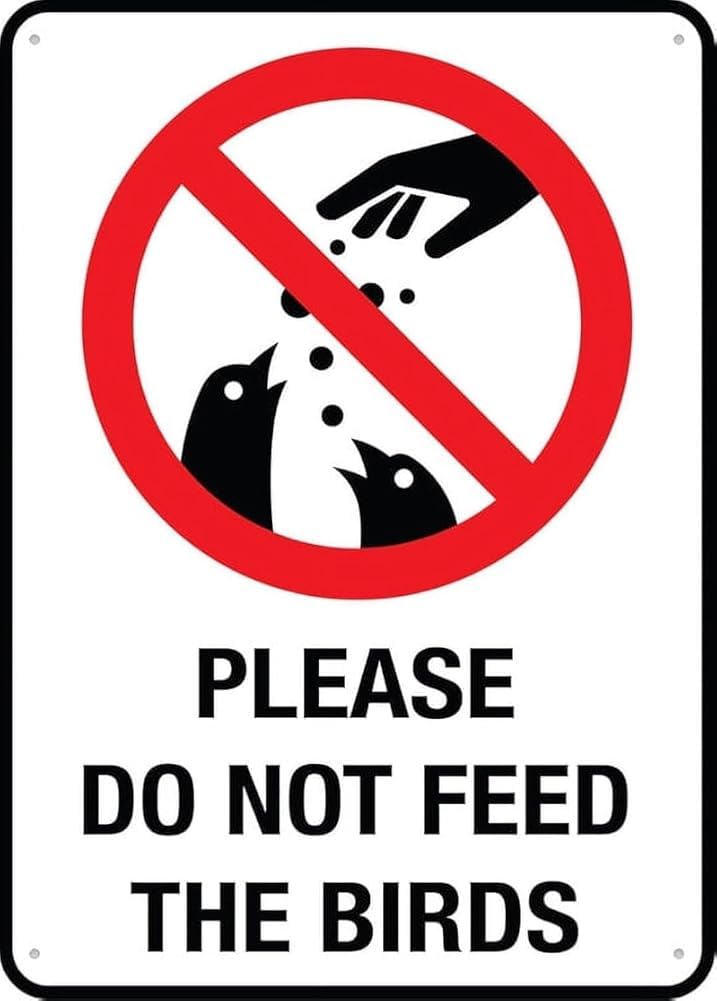 Please Do Not Feed The Birds Sign Warning Tin Sign Home Kitchen Farm Garden Garage Wall Decor Gift For Women Men 8x12 Inch