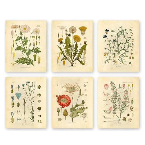 Wildflower Botanical Wall Art Print Set