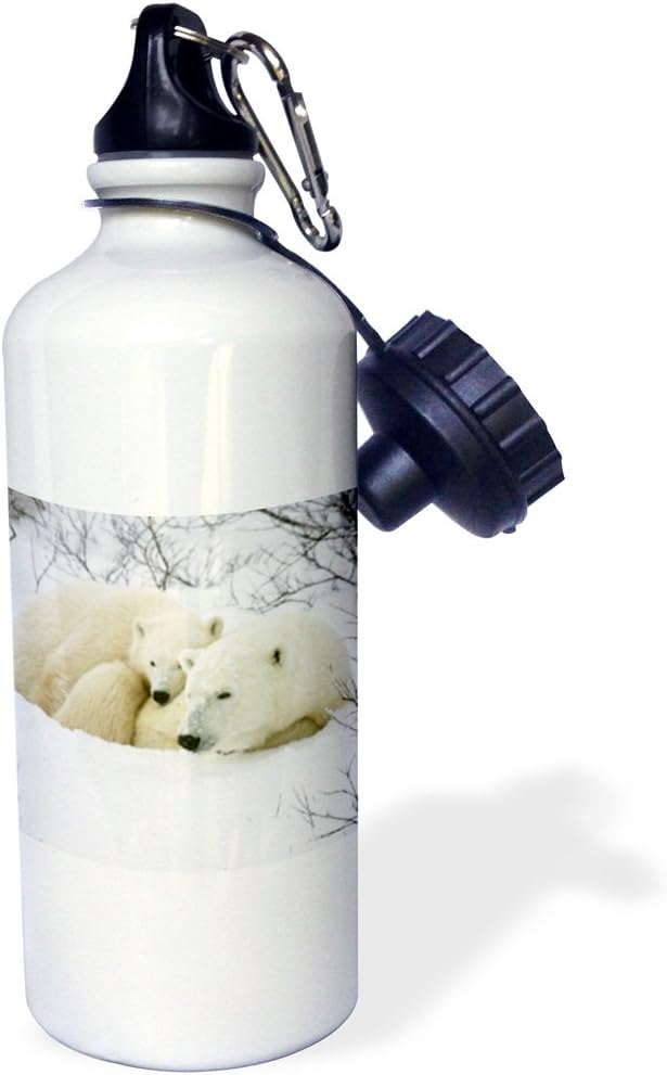 3dRose Polar bear female and cub, Churchill, Manitoba, Canada. -Sports Water Bottle, 21oz , Multicolored