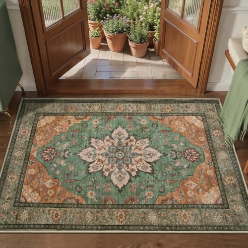 Image of Tangsoo 2x3 Washable Rugs for Entryway, Vintage Non Slip Small Area Rug