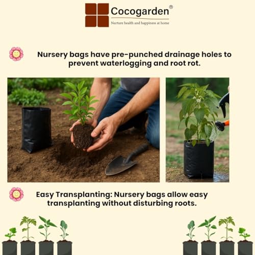 Image of cocogarden Plastic UV Protected Poly Grow Bag for Seedling Nursery Cover Plant Bags (Black, 8 x 10 inch) - Pack of 30 | for Terrace and Balcony Gardening, Kitchen Vegetable and Flowering Plants