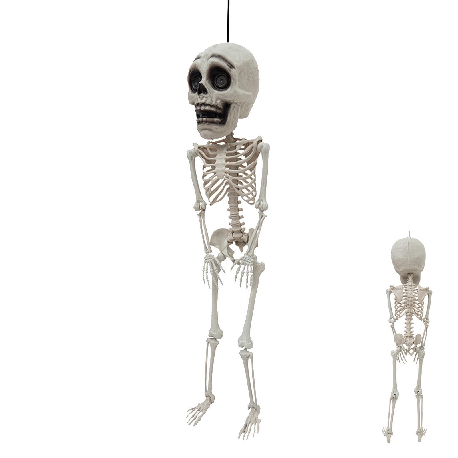Esqueleto Halloween Figura Realista 105cm Con Articulaciones Móviles
