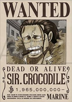 Amazon.co.jp: ONE PEACE ワンピース 海軍発行公式手配書