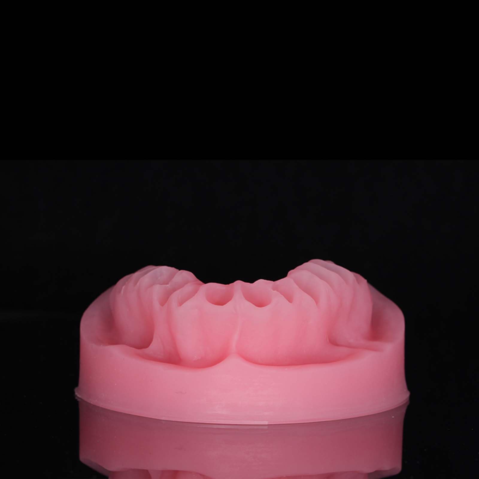 Modello espositivo per Protesi Dentarie Manichino Dentale Modello didattico per odontoiatria Orale Stampi per odontoiatria Orale,B