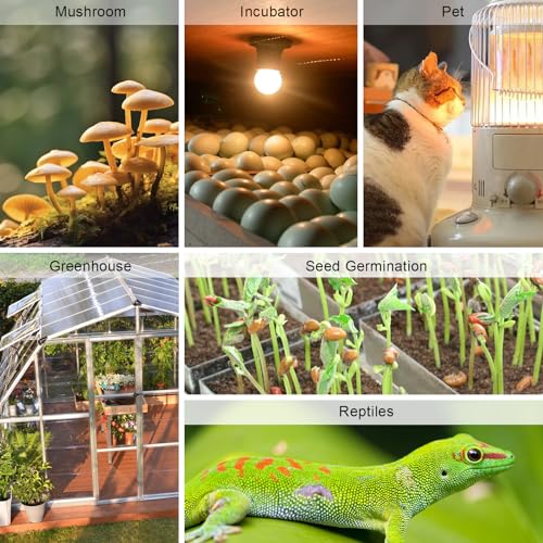 KETOTEK Thermostat Hygrostat Steckdose Digital, Temperaturregler Feuchtigkeitregler Steckdose mit 2 Fühler 230V, Temperatur Feuchtigkeit Regler für Gewächshaus Pilz Terrarium