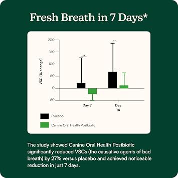 Reggie Bright Bite Dog Dental Powder for Fresh Breath, Healthy Teeth & Gums, 7-Day Results, Postbiotic Formula with Organic Kelp, Natural Dental Care, Vet-Approved, Made in USA, 60 Servings