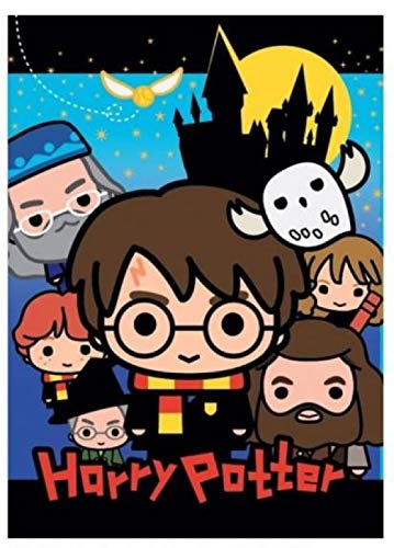 Manta polar de Harry potter con dibujos de todos los personajes suave