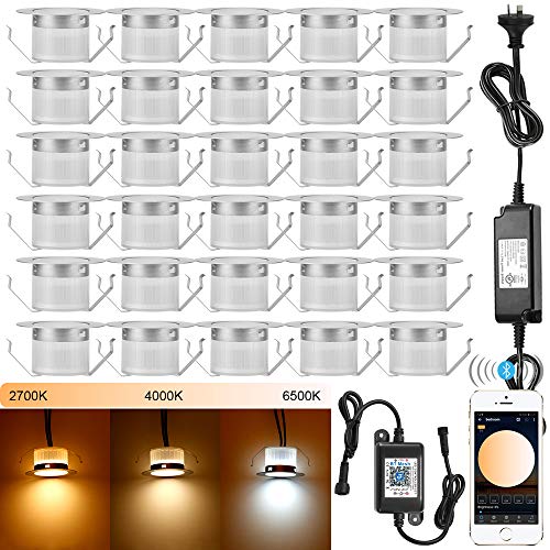 Spots LED encastrable terrasses,GEYUEYA Home CCT Blanc Chaud Blanc froid Ø45MM Spot Led Eclairage extérieur IP67 Etanche - BT Mesh Encastré Kit de Lumière Spots à Encastrer Extérieur Lot de 30 Cover