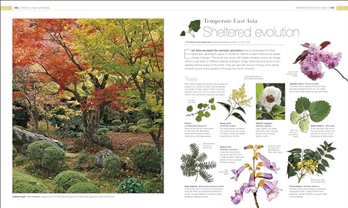 Image of Plants and Fungi: The Definitive Visual Encyclopedia