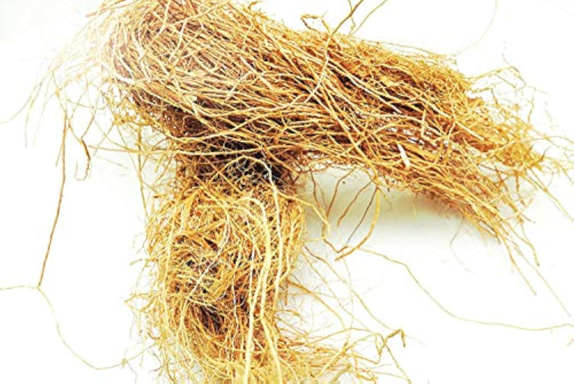 Natural Vetiver Bath Scrubber, Pack of 5