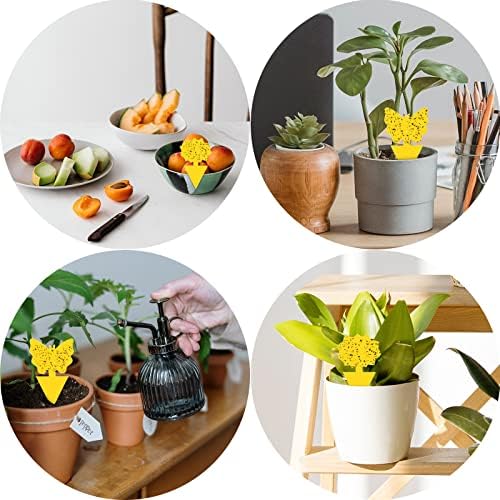 50 Pack Sticky Traps Fruit Fly Fungus Gnat Trap Killer, Joogee Yellow Dual Sided Gnat Trap, Disposable Insect Catcher Sticky Board,Non-Toxic and Odorless,for Mosquitoes, Houseplant, Garden - 4