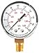 Pressure Gauge, Test, 2 in
