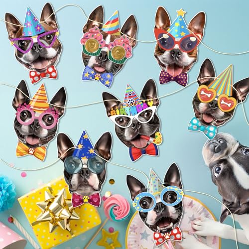 Image of Boston Terrier Birthday Garland - Photographic Boston Terrier Faces Birthday Banner, Funny American Gentleman Bday Party Decoration for BostonTerrier Lovers, Easy Assembly