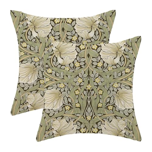 William Morris Floral Pillow Covers 18x18 Inch Vintage Sage Green Floral Throw Pillow Covers Set of 2 Farmhouse Botanical Flower Pillowcases Outdoor Decor for Living Room Couch Sofa Linen Cushion