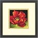 Dimensions Floral Red Poppy Pattern Needlepoint Kit, 5'' x 5''