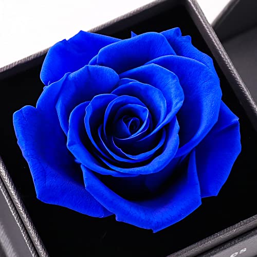 MINCHEDA Rosa Stabilizzati con Collana, Confezione...