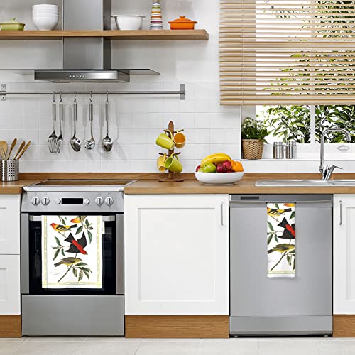 Raincaper Audubon Tanager Tea Towels Kitchen Towels, 18 X 28 Inches, 1 Ct | 100% Cotton Super Soft And Absorbent Dish Towels #TOP2