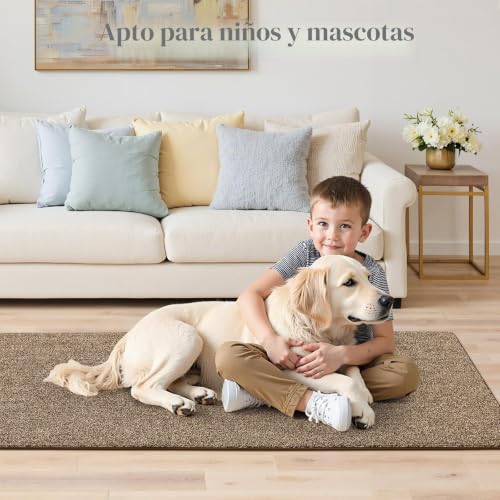 Alfombra de pasillo 60 x 240 cm atrapapolvo para puerta larga 6