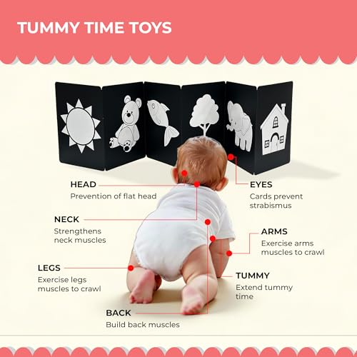 Image of High Contrast New Born Flash Cards for Kids | 12 Objects for Visual Stimulation, Cognitive & Sensory Development of 0-6 Month Old Infants | Self Standing Cards for Enjoyable Tummy Time