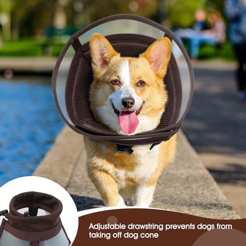 Collier conique pour chiens alternative au cône élisabéthain S - 6