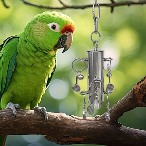 Jouet cloche en acier inoxydable durable et sûr pour grands oiseaux