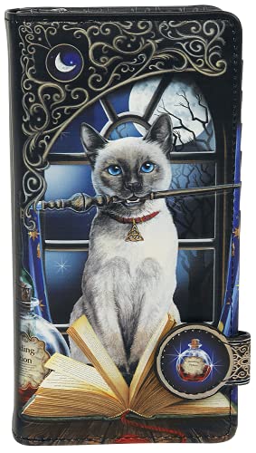 Nemesis Now Women's Hocus Pocus, Black, 18.5cm2