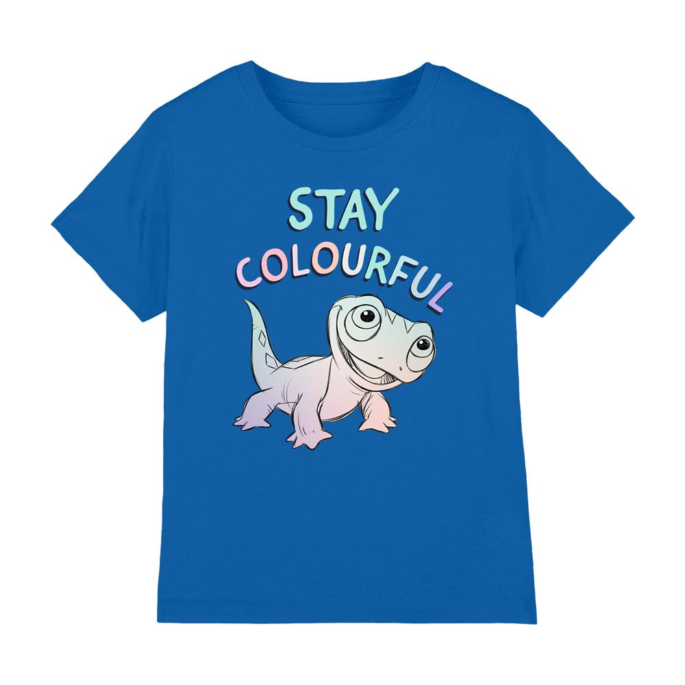 Frozen Stay Colourful with Fire Spirit, Bruni Unisex Kids T Shirt, Royal, 12-13 Years
